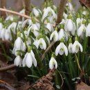 (주)한우물생활건강 이미지