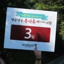 푸드애 | 이종석과 함게하는 스킨푸드 흑석류 레시피 푸드 여행