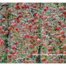 욱이농장 이미지