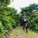 걷다보니 이미지