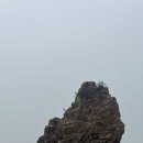 할리베어 | 제부도 매바위 완벽 가이드 | 물때 차량 통제 시간부터 할리베어카페 솔직 후기까지