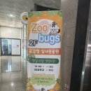 벅스네 | 인천실내동물원 쥬벅스 먹이주기체험 후기