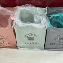 동녘하우스 | 강릉 옥계면 :: 동녘하우스 / 시골 따뜻한 감성 가족 숙소 / 애견동반