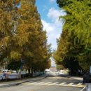 한경대학교(기숙사 나래관) 이미지