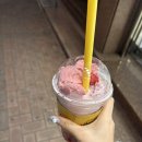 개백수의 삶.