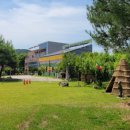 양평아프리키문화예술박물관 이미지