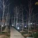 태평식당 이미지