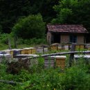 영진고등학교 이미지