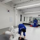 Dream of Judo 세종유도관 이미지