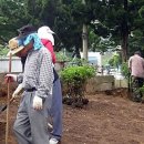 희망나무심기6 이미지