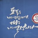 에코 호리 태권도 이미지