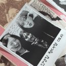 사회에서 살아남기.