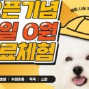 옐레드 부천상동점 이미지