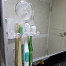아이엠랑데자뷰 [친환경 대나무 칫솔] 내돈내산 솔직후기