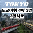 멍꾸러기 | 딩딩이의 도쿄 여행 3일차 - 도쿄 4박 5일 코스 스미다강, 센소지, 히지리바시 다리(스드메의 문단속...