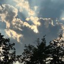 횡성경찰서 | [횡성] 너머 펜션 (애견동반 가능 가족 숙소)