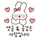 비자림빌리지 이미지