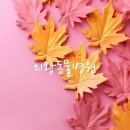 의왕동물병원 이미지