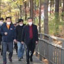 마포, 걷고싶은길 5코스 이미지