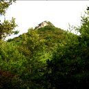 필봉농장 이미지