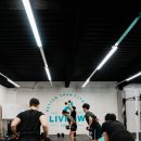 리브로우