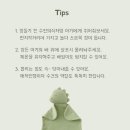 [신생아 애착인형]임신선물 후기_모노레임 애착인형 겸 애착수건