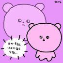먹돌새기 이미지