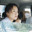 전라도시골청년 네이버블로그