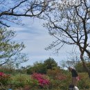 순례농장 이미지