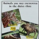 (주)에버파인 이미지