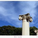 들꽃연가 이미지