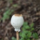 반송 경로당 이미지