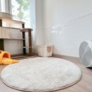 고양이 미용& 호텔 우연히, 캣 이미지