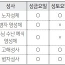 [기도하는 교회] 성금요일과 성토요일에는 고해성사를 볼 수 없나요? 이미지