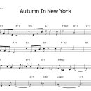 색소폰 1:1 개인레슨 이미지