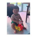 태리인터네셔널 이미지