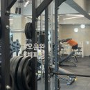 비피스포츠