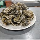 흑산도회 이미지