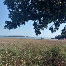 죽암 보건진료소 이미지