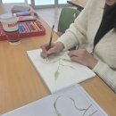 힐링보태니컬아트 이미지