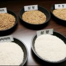 농업기술센터 연구동 이미지