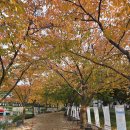 우로지 | 영천여행, 가을정취와 함께 망정우로지공원