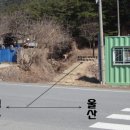 황금능선 이미지