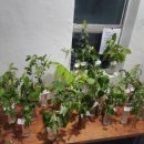 주왕산파크모텔 이미지