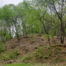 공주행운부동산공인중개사사무소 이미지