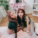 데이데이101