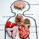 마카롱PC 이미지