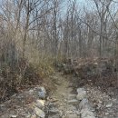 영신사슴농장 이미지