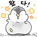 해물나라 짬뽕마을 이미지