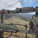 고원농장 | 울산 간월재 가을여행명소! 날씨/등산 시간/사슴농장 코스/억새밭 축제 울주 오디세이
